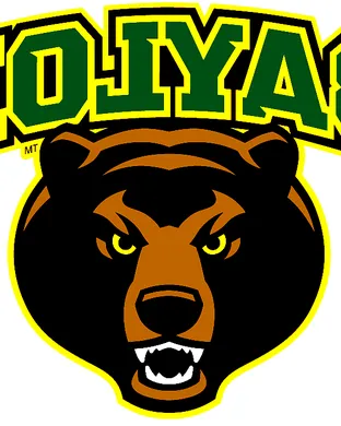 Baylor Bears El Paso