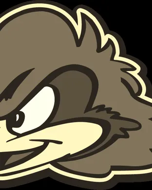 Delaware Blue Hens Football El Paso