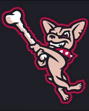 El Paso Chihuahuas vs. Oklahoma City Comets