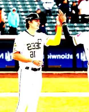 Salt Lake Bees El Paso