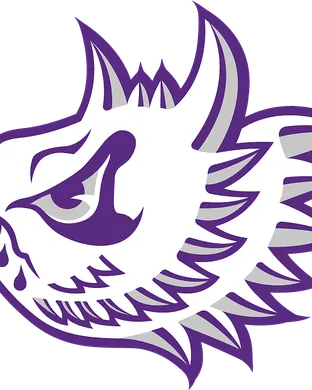 Tcu Horned Frogs El Paso